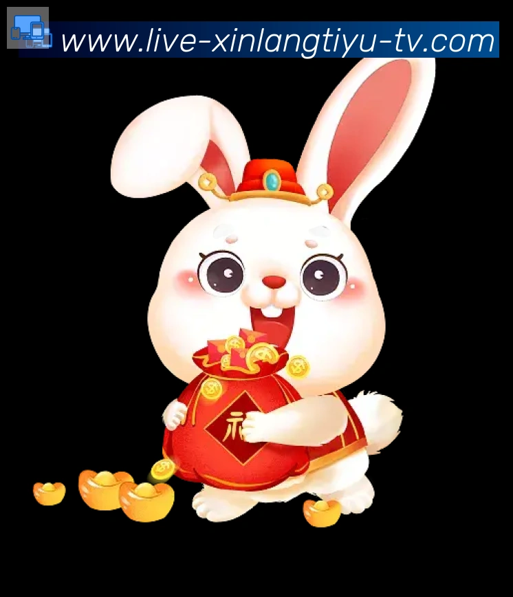 互动解说服务